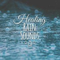 Healing Rain Sounds – Soothing Music for Relax, Pure Nature Music for Meditation