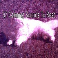 57 Calming Sounds to Rest