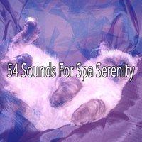 54 Sounds For Spa Serenity