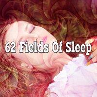 62 Fields of Sleep