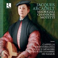 Arcadelt: Motetti - Madrigali - Chansons