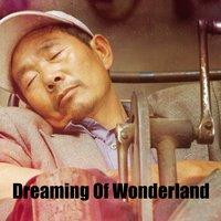 Dreaming Of Wonderland