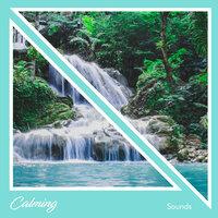 #15 Calming Sounds
