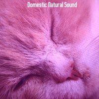 Domestic Natural Sound