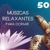 Musicas Relaxantes para Dormir - 50 Musicas para Fundo Musical e Balanceamento de Energia