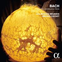Bach: Sonatas, Chorales & Trios