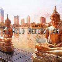 71 Wild Meditation