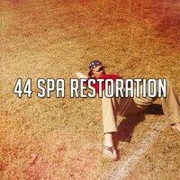 44 Spa Restoration