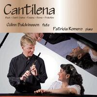 Baldvinsson, Odinn / Romero, Patricia: Cantilena