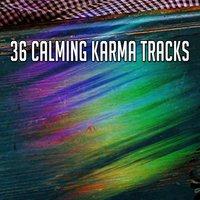 36 Calming Karma Tracks