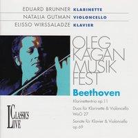 Beethoven: Kagan Music Festival Kreuthn 1992 & 1994