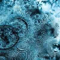 Hypnotic Nature Sounds: Endless Rain for Sleep