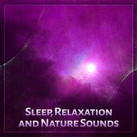 Sleep, Relaxation and Nature Sounds – Nature Sounds and Deep Sleep, New Age Music