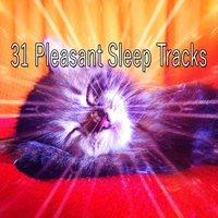31 Pleasant Sleep Tracks