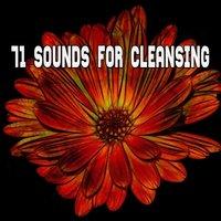 71 Sounds For Cleansing