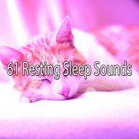 61 Resting Sleep Sounds