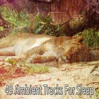 49 Ambient Tracks For Sleep