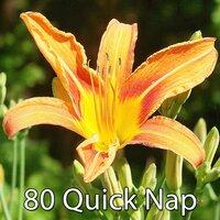 80 Quick Nap