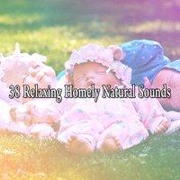 38 Relaxing Homely Natural Sounds