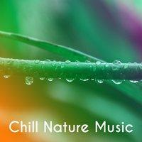 Chill Nature Music