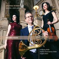 Brahms: Horn Trio & Violin Sonatas