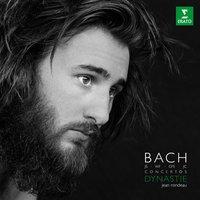 Dynastie - Bach Family Concertos