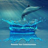 Release Your Consciousness