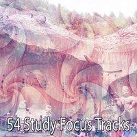 54 Study Focus Tracks