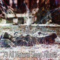 73 All Natural Sleep Album