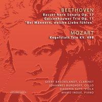 Sonata for Bassethorn and Piano, Op. 17: I. Allegro moderato