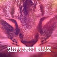 Sleeps Sweet Release