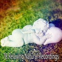78 Relaxing Natural Recordings