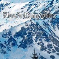 57 Auras For A Calming Ambience