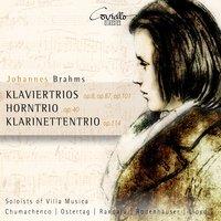 Brahms: Klaviertrios Op. 8, Op. 87, Op. 101, Horntrio Op. 40 & Klarinettentrio Op. 114