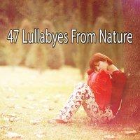 47 Lullabyes From Nature