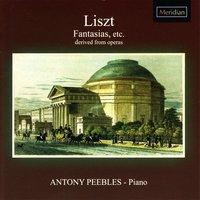 Liszt: Fantasias, etc. Derived from Operas