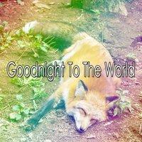 Goodnight To The World