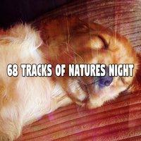 68 Tracks Of Natures Night