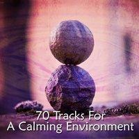 70 Tracks For A Calming Environment