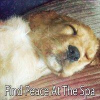 Find Peace At The Spa