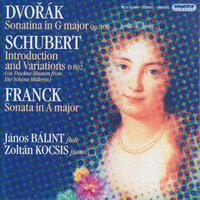Dvorak / Franck: Violin Sonatas (Arr. for Flute and Piano) / Schubert: Variations On Trockne Blumen