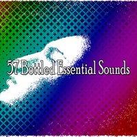 57 Bottled Essential Sounds