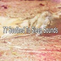 77 Soothed To Sleep Sounds