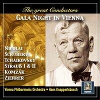 The Great Conductors: Gala Night in Vienna