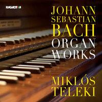 Bach: Organ Works (Orgonaművek)