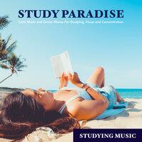 Study Paradise: Calm Music and Ocean Waves For Studying, Focus and Concentration