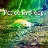 Peace In Sleep