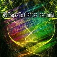 49 Tracks To Cleanse Insomnia