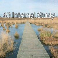 40 Internal Study