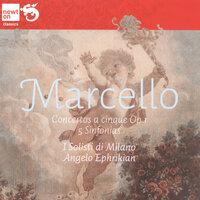 Marcello: 12 Concertos a Cinque, Op.1 / 5 Sinfonias